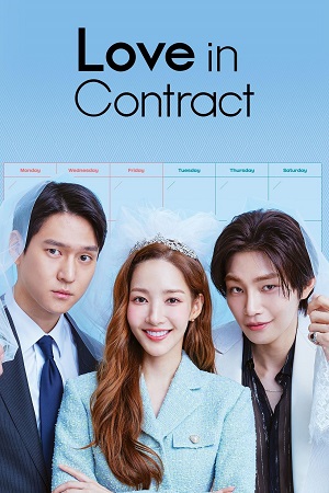 Download Love in Contract (Season 1) Dual Audio {Hindi-Korean} K-Drama Series 480p 720p & 1080p WEB-DL